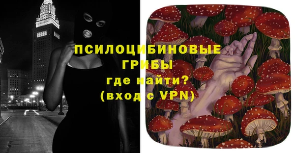 мет Каменка