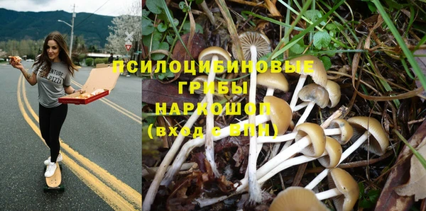 МДМА Карпинск