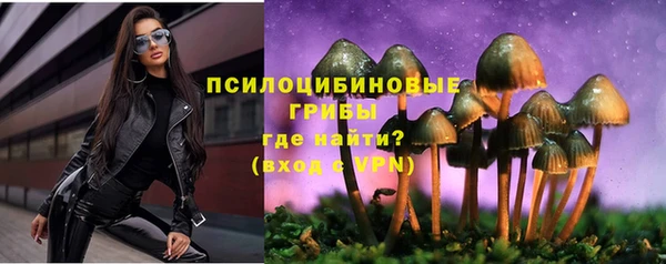 mix Каменногорск